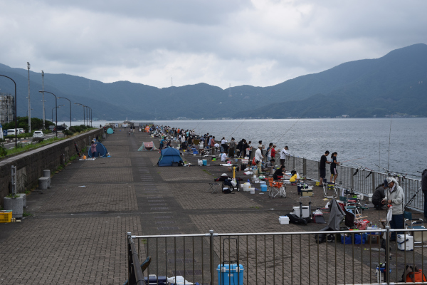 釣り 敦賀新港の釣り場を写真で紹介 海側に柵があり 家族でサビキ釣りにおすすめ