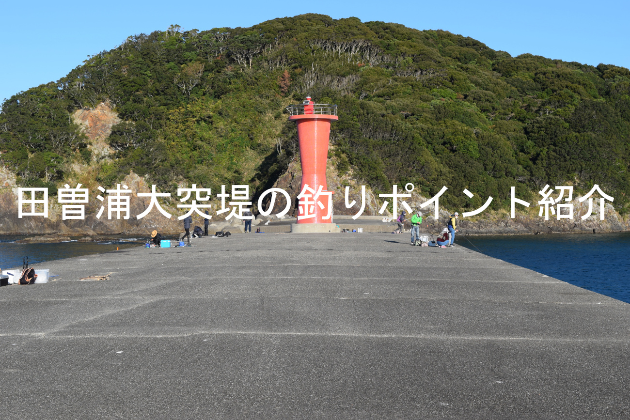 田曽浦大突堤の釣りポイントアイキャッチ画像
