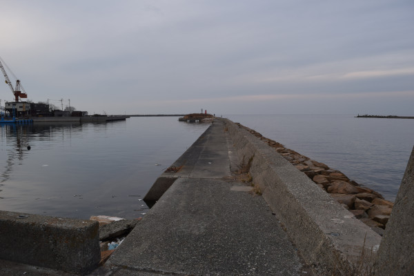 湊港東堤防の写真