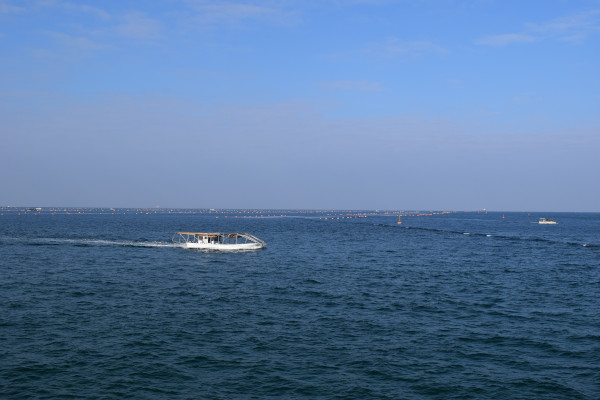 室津漁港のノリ養殖船