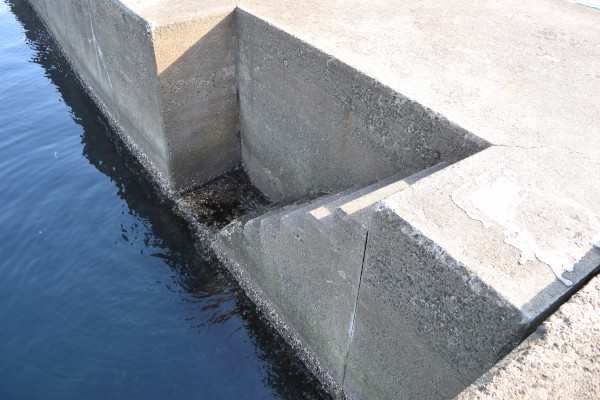 津名港外側の堤防の階段