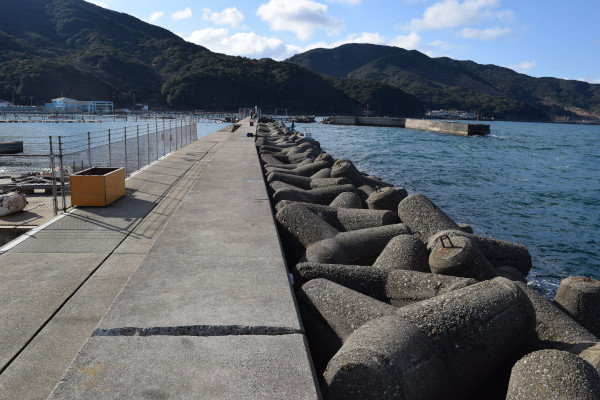 小島漁港の堤防根元から先端を撮った写真