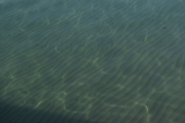 伊良湖港の海水浴場側の写真