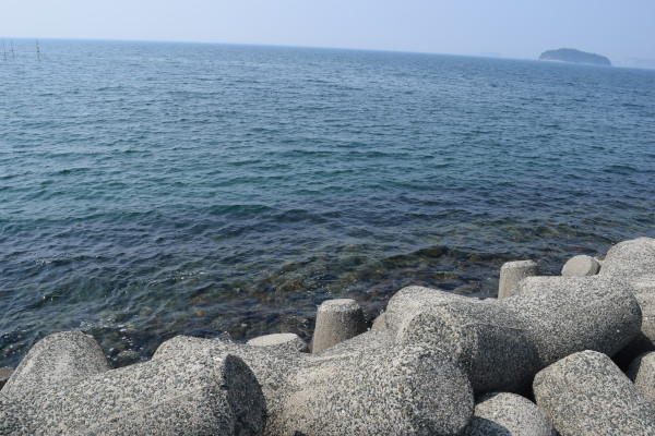 消波ブロック周辺の海