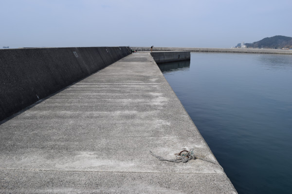 内海新港の堤防の写真
