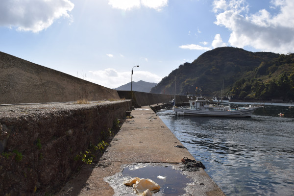 新井崎漁港の堤防付け根から先頭を撮った写真