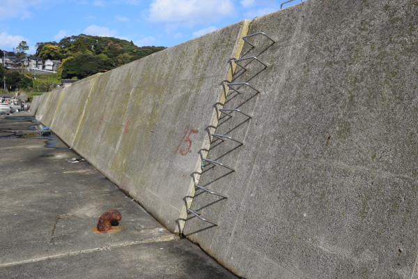 新井崎漁港堤防に設置された梯子