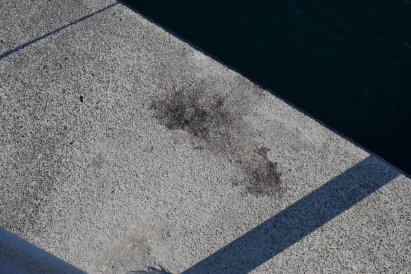 安指漁港内側の堤防に残ったアオリイカの墨跡