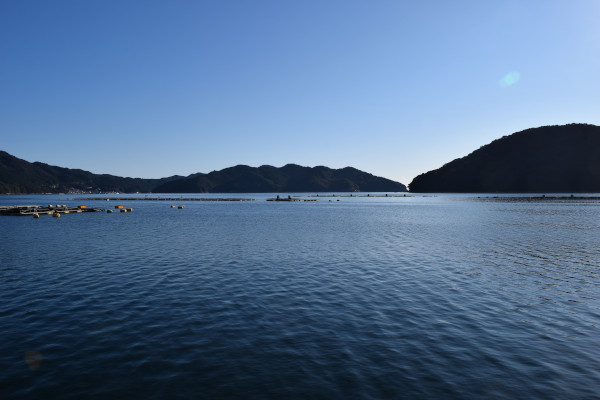 古江漁港の風景