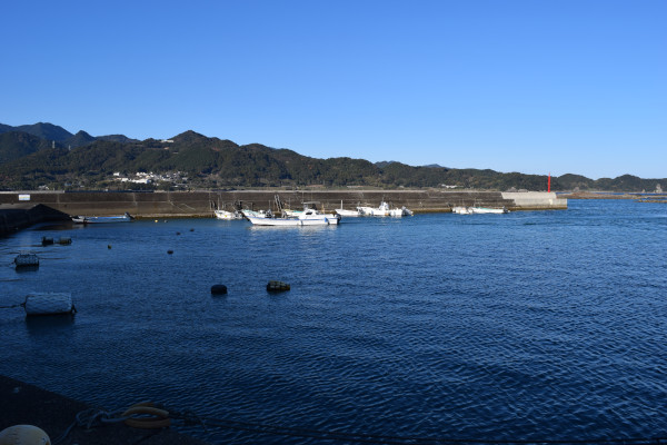 小金島漁港の釣りポイント全景