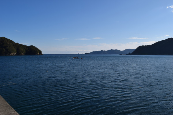 三浦漁港の湾口の写真