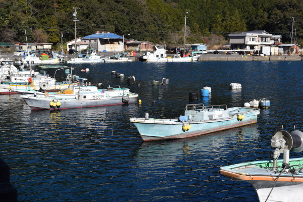 須賀利漁港の船着き場