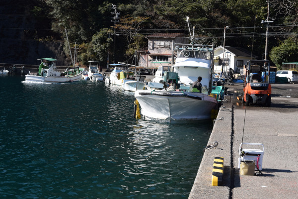 須賀利漁港作業場の船
