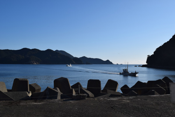 梶賀漁港から湾口の写真