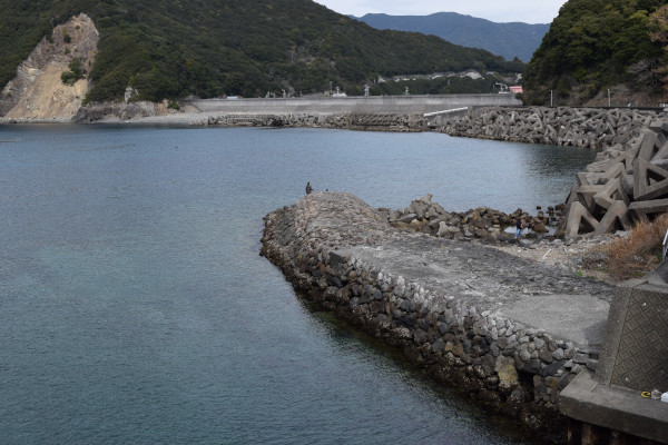 明神橋から阿曽浦漁港の堤防を撮影した写真