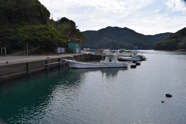 方座浦漁港の船着き場の釣りポイント
