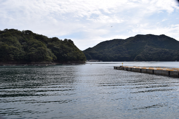 方座浦漁港から湾口方面の写真