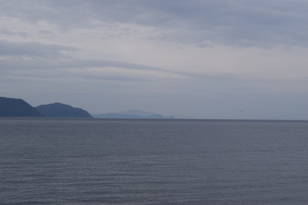 河野漁港から常神半島を撮った写真