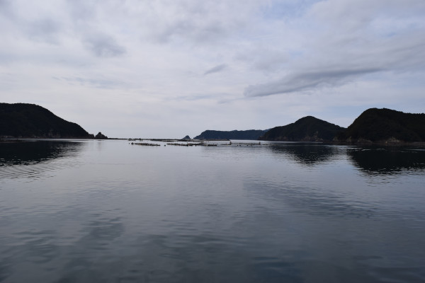 奈屋浦漁港から湾の出口方面を撮った写真
