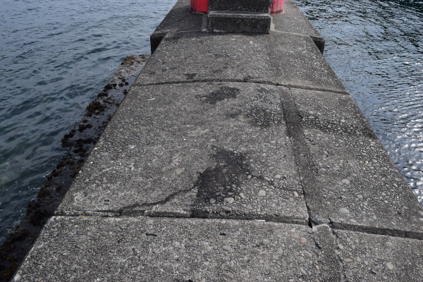 相賀浦漁港の釣りポイントにあるアオリイカの墨跡