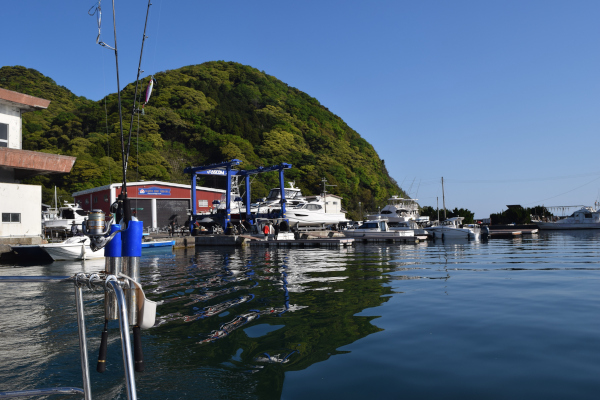 マリンポート美浜