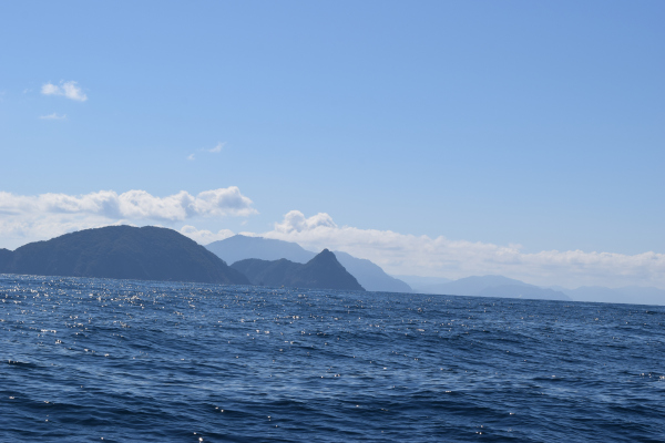 美浜町沖の写真