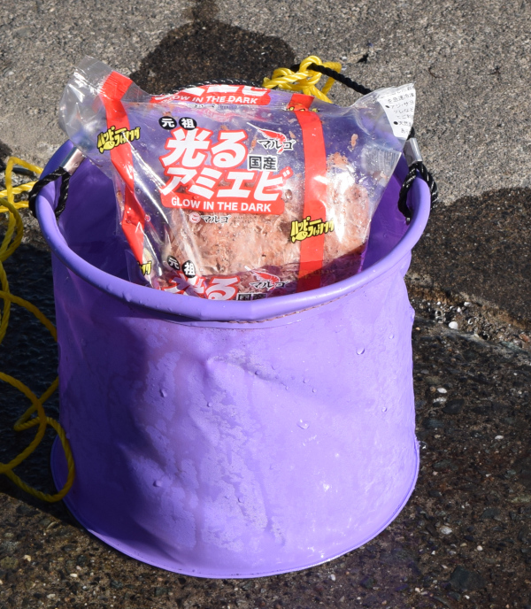 撒き餌を溶かしている